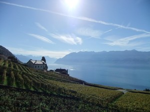 Der Genver See in der Schweiz