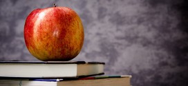 Montessorischule und Waldorfschule